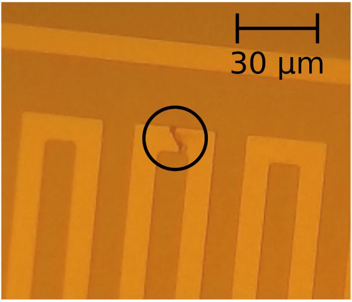 Microscope image of a broken YBCO meander resistor